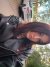 IMG_1777.jpeg