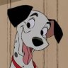 Pongo