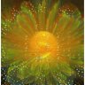 zvezda