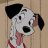 Pongo